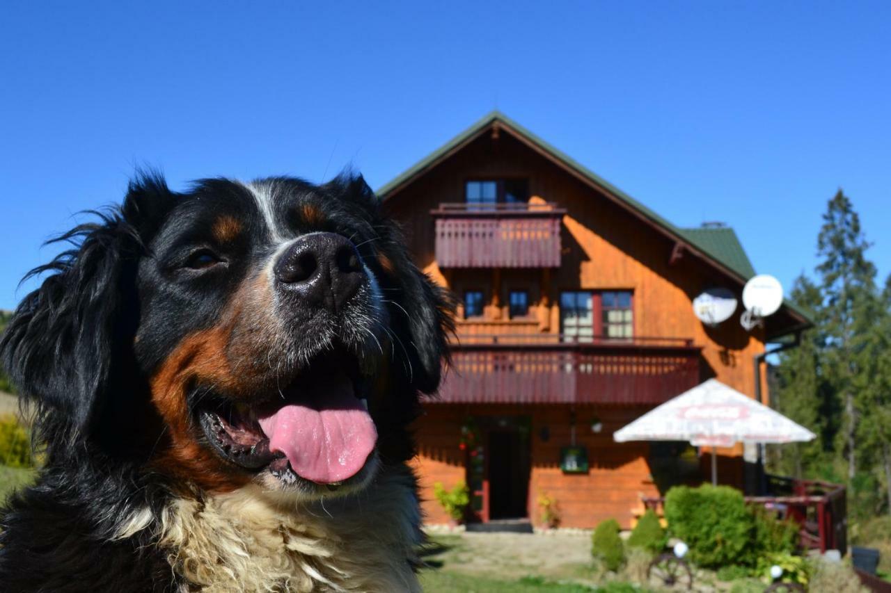 Penzion Dinda Stará ľubovňa エクステリア 写真